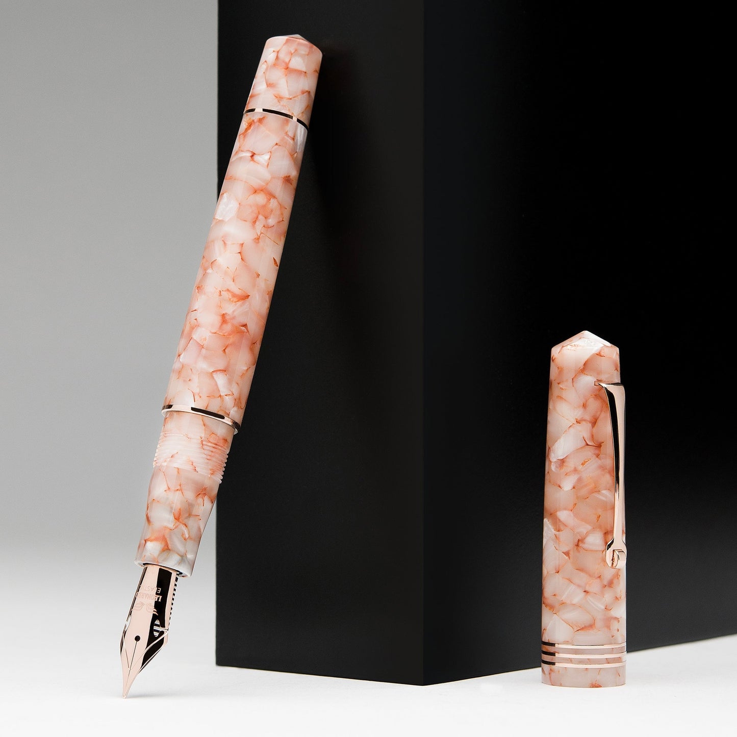 Leonardo Momento Zero Fountain Pen - Angel Skin RGT