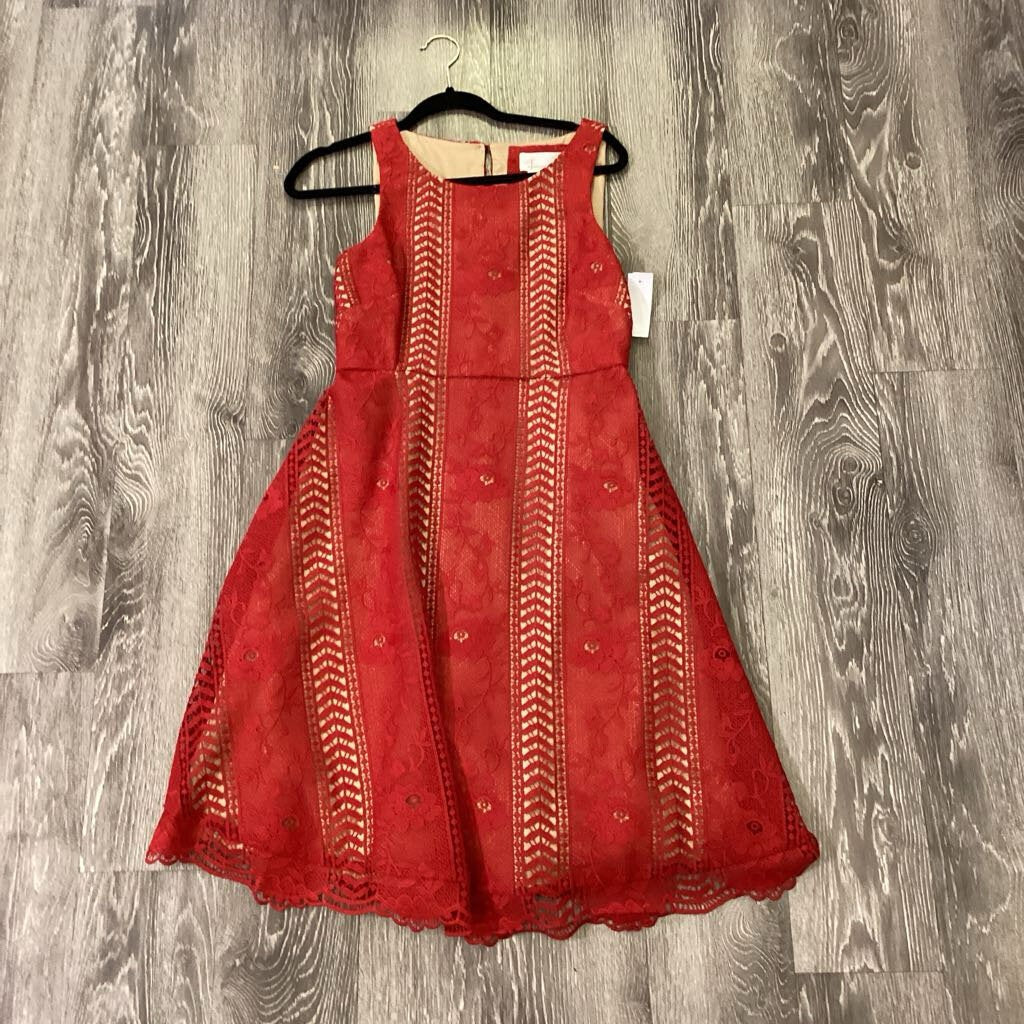 Anthropologie Lace Overlay Sleeveless DRESSES 2