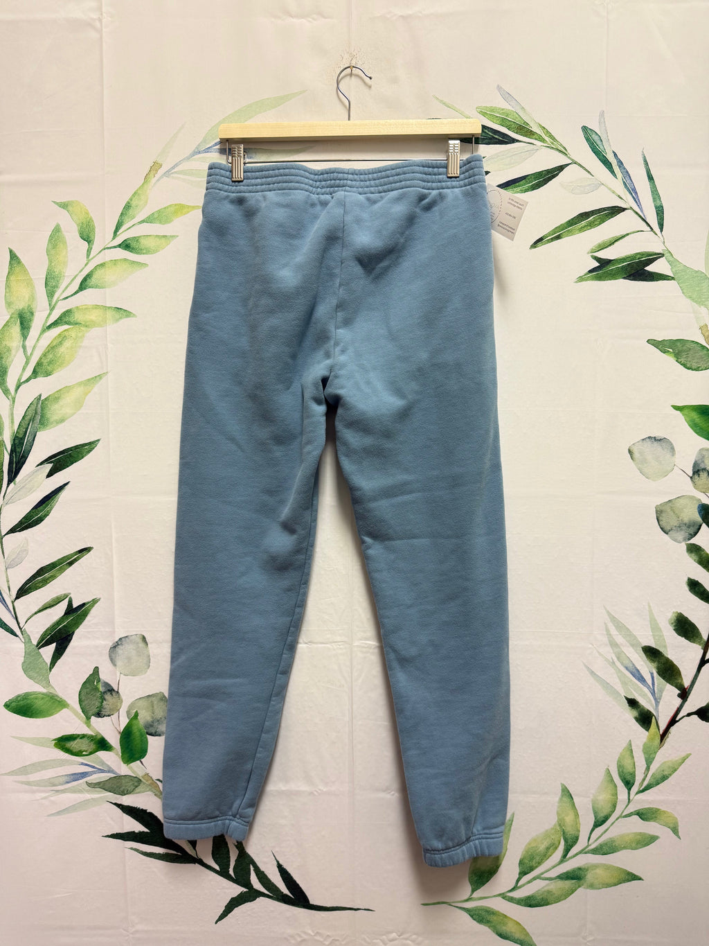 Aritzia TNA Cozyfleece Perfect Sweatpant 30” (M)
