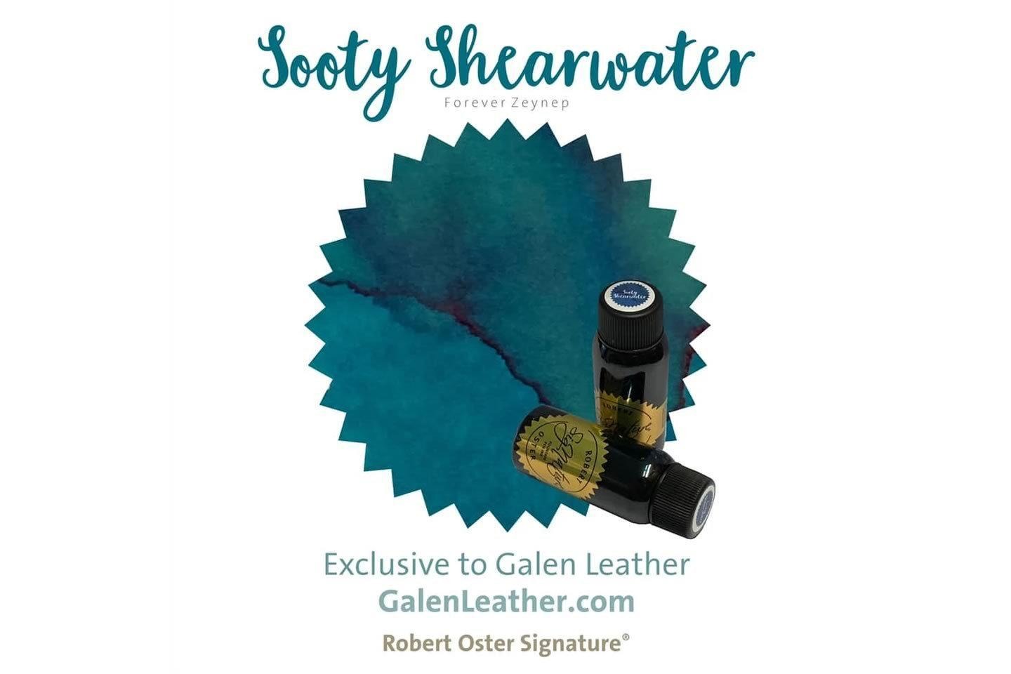 Robert Oster - Sooty Shearwater Fountain Pen Ink - A Special Color for Zeynep
