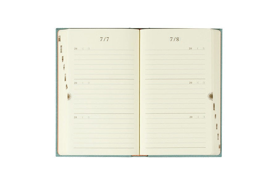 Midori 3 Years Diary - Door Design - Light Blue