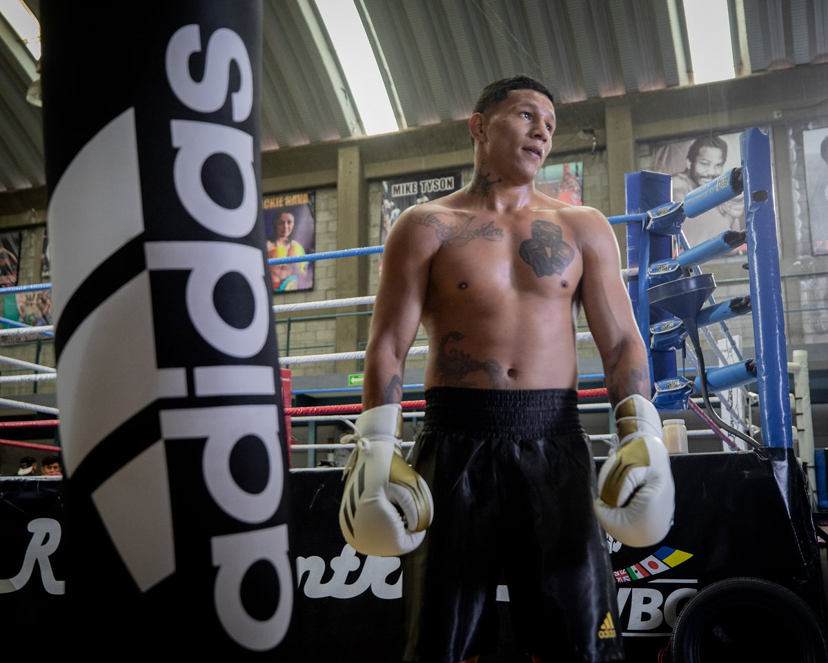 adidas Heavy Bag, for Boxing, MMA, Kick Boxing Training, Fitness and Cardio Workout - Filled
