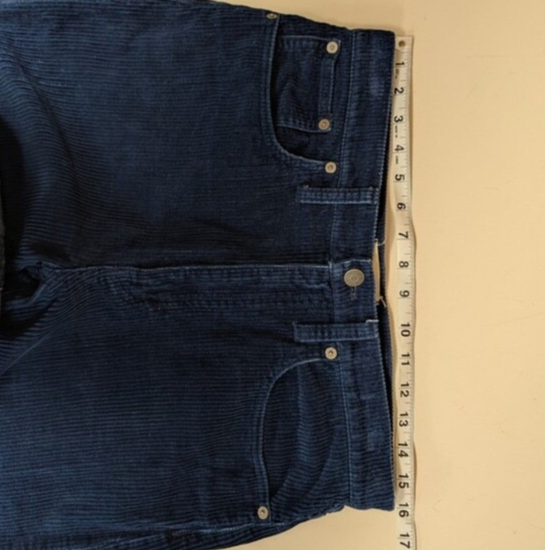 Madewell Blue Corduroy Dad Jean Pant - 28