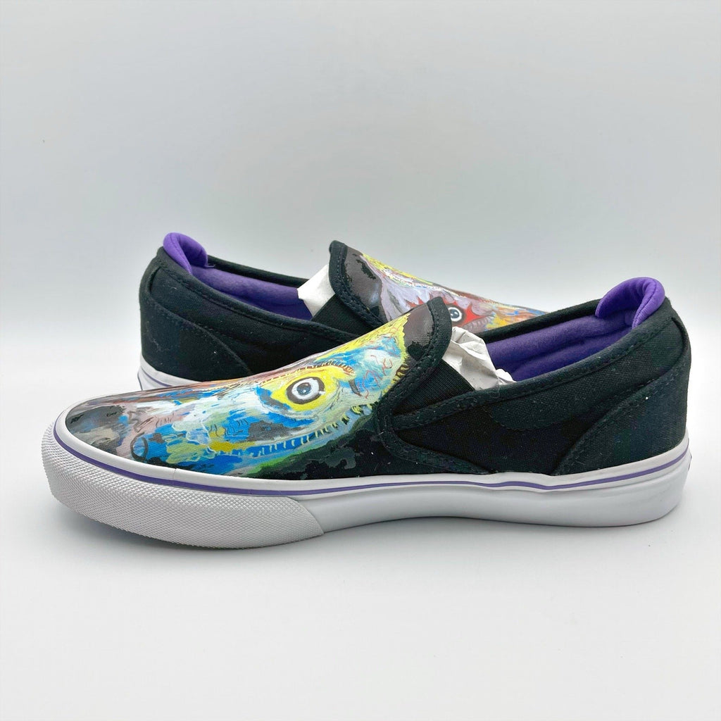 Emerica x Dinosaur Jr Mens Wino Slip-On Shoes Size 8 Black Multicolor Sweep NIB