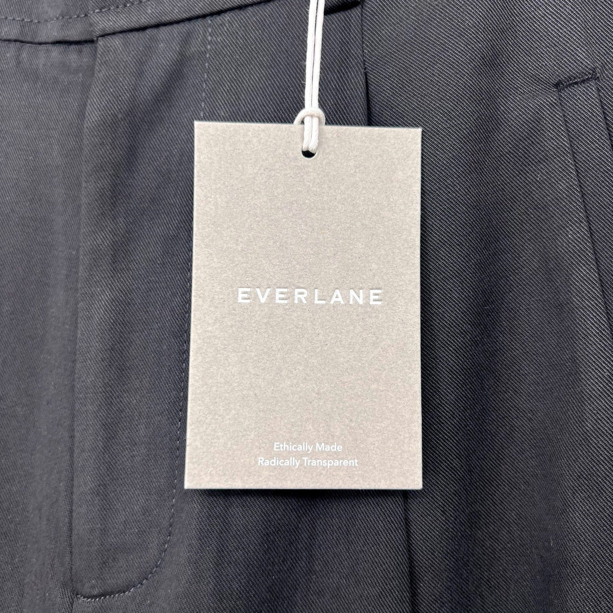 Everlane Womens The Way-High Drape Pant Size 2 Black 31" Inseam Pleated NWT