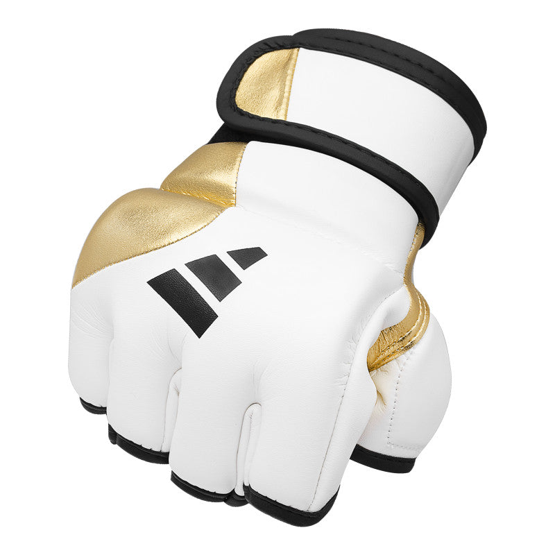 adidas Grappling 350 Boxing Gloves for Beginners