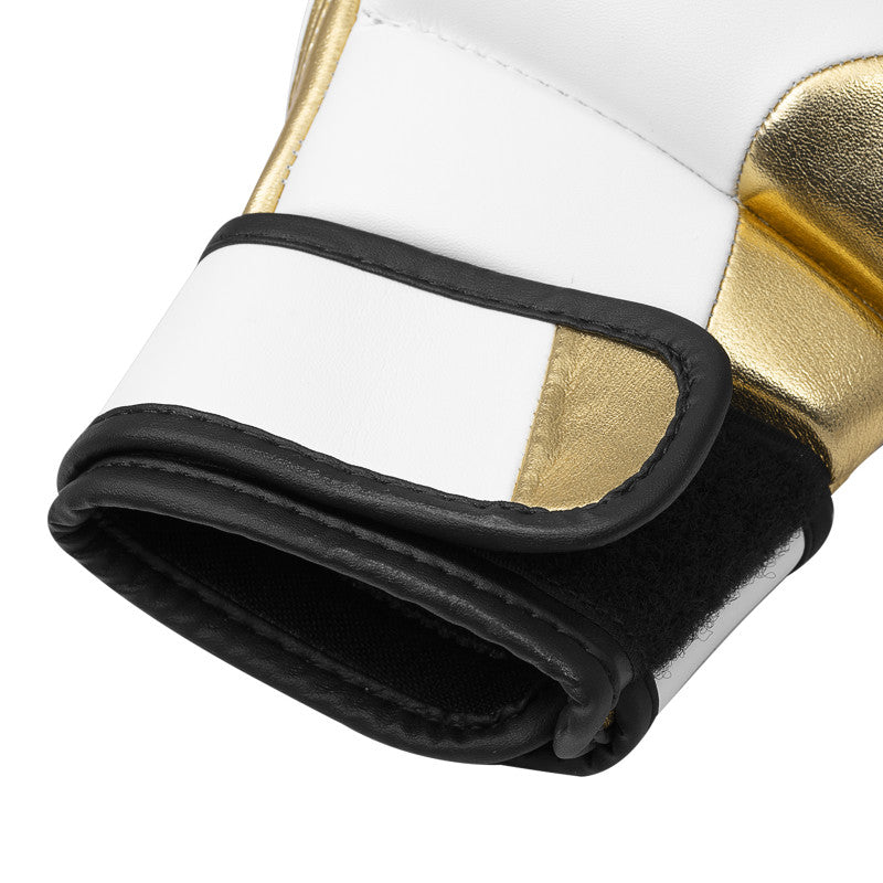 adidas Grappling 350 Boxing Gloves for Beginners