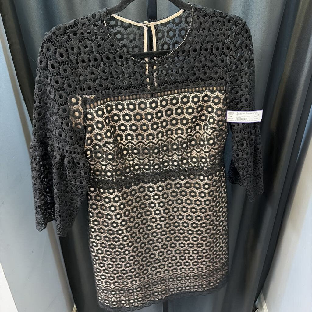 J Crew Lace 3/4 Sleeve DRESSES 6p