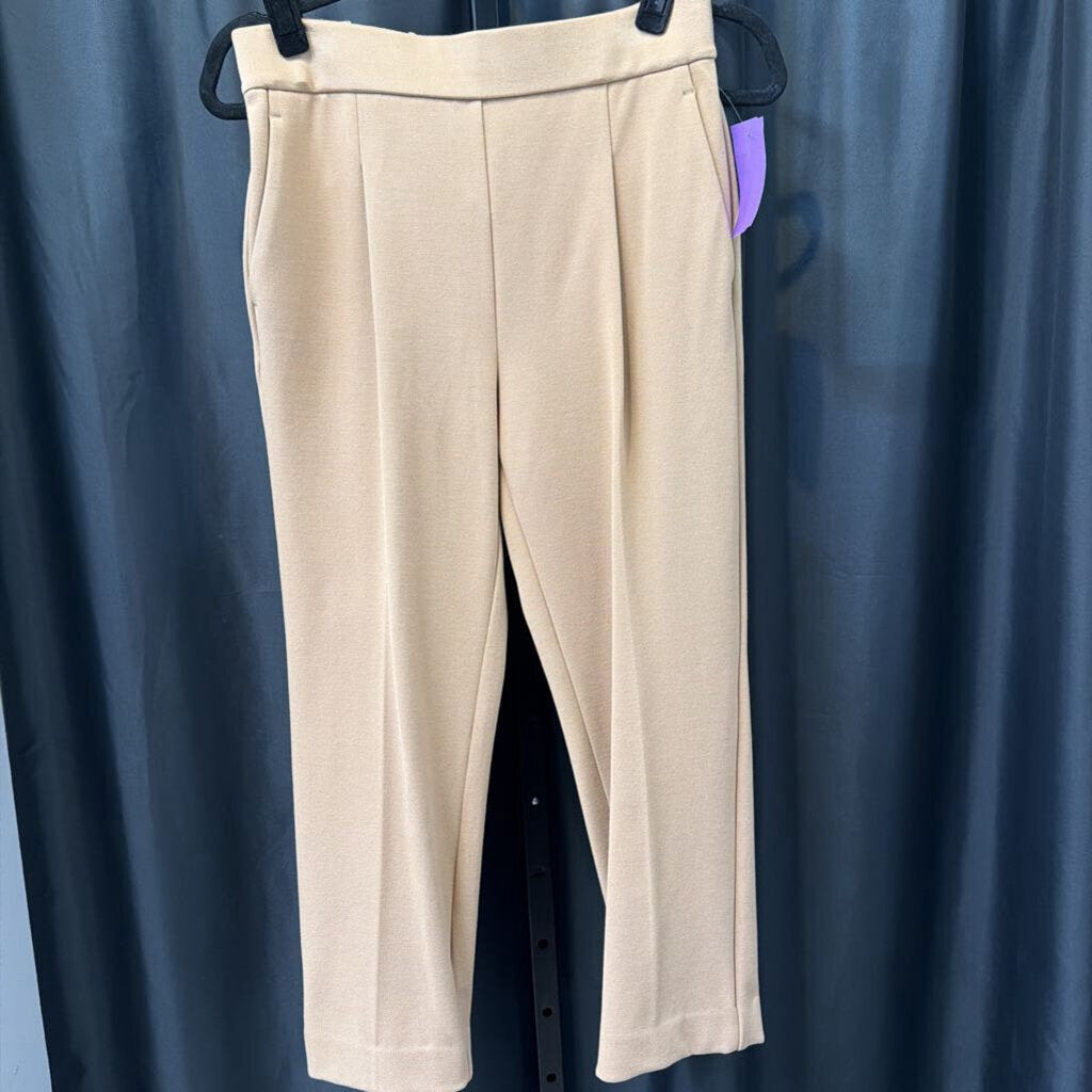 Ann Taylor Stretch Solid PANTS Sp