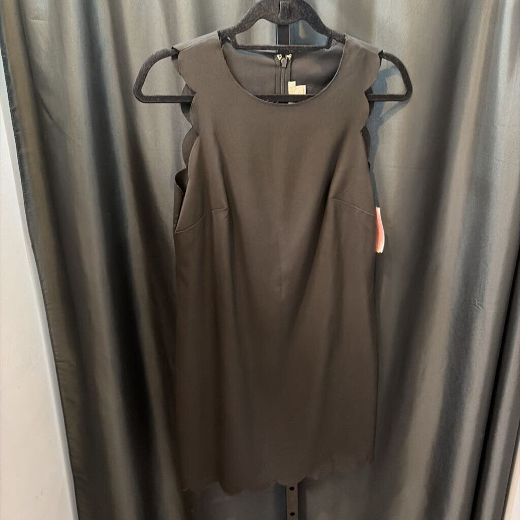 J Crew Scalloped Tank DRESSES 2