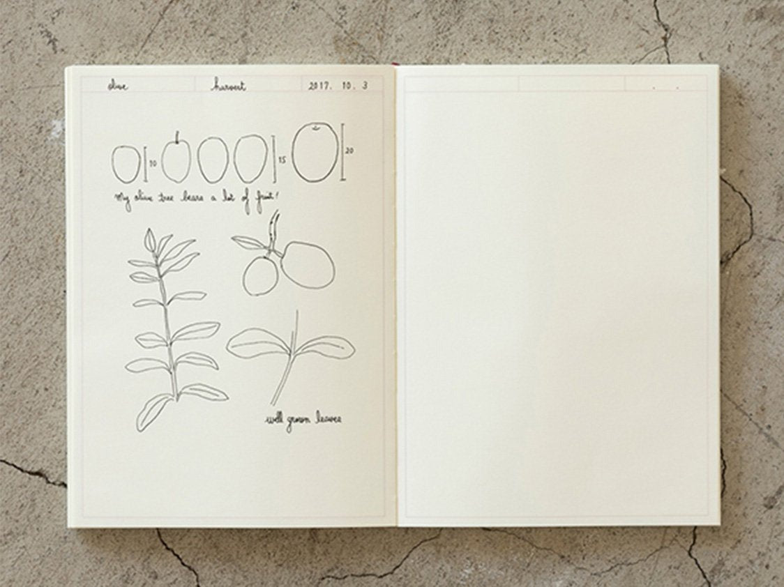 Midori MD Notebook Journal A5 Frame - 192 Pages