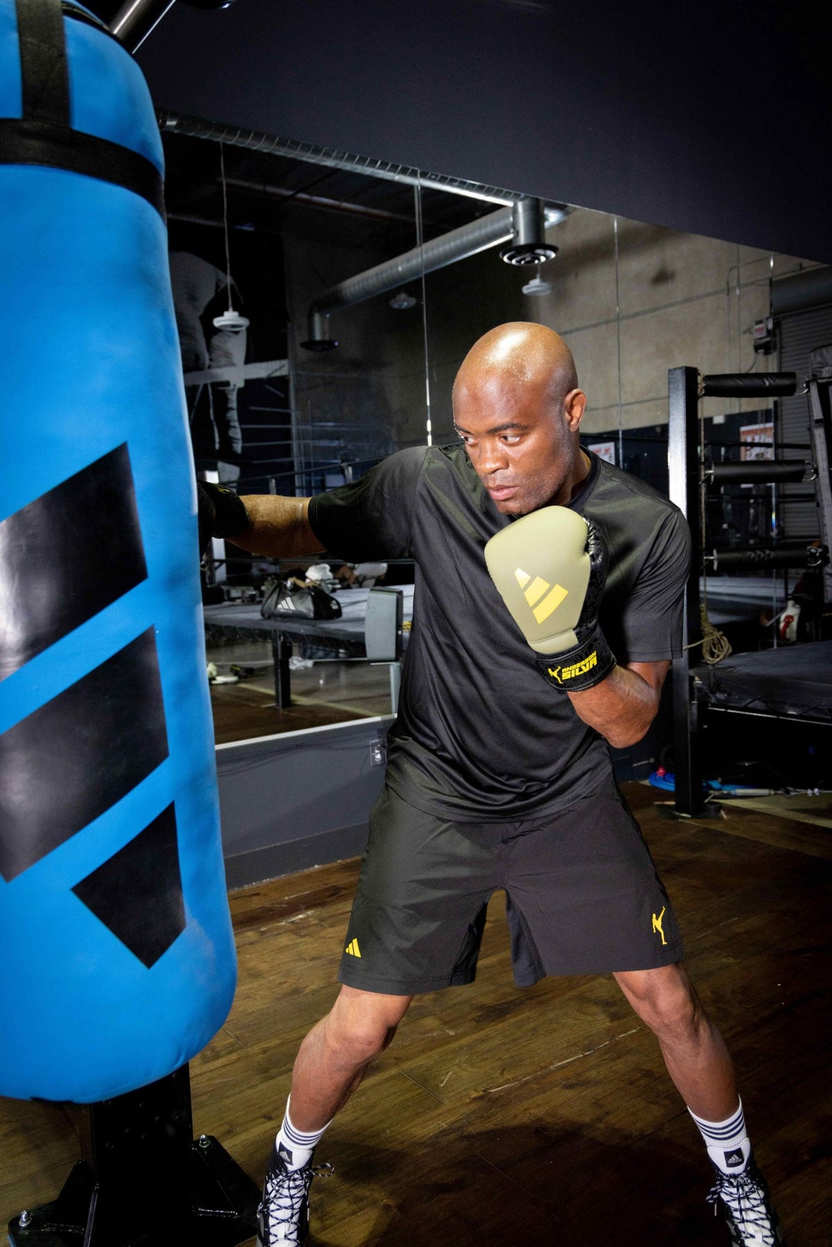 adidas x Anderson Silva Everyday Use Boxing Gloves