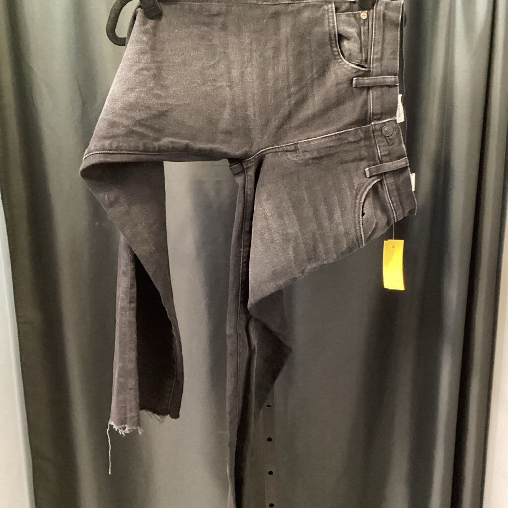 Hudson High Rise Wide Leg JEANS 24