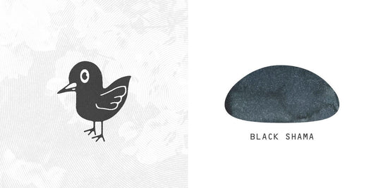 Troublemaker Black Shama Ink